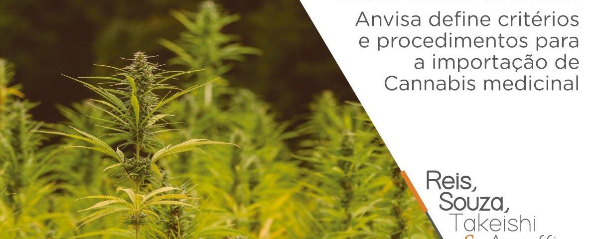 Anvisa define critérios e procedimentos para a importação de Cannabis medicinal - Reis, Souza, Takeishi & Arsuffi